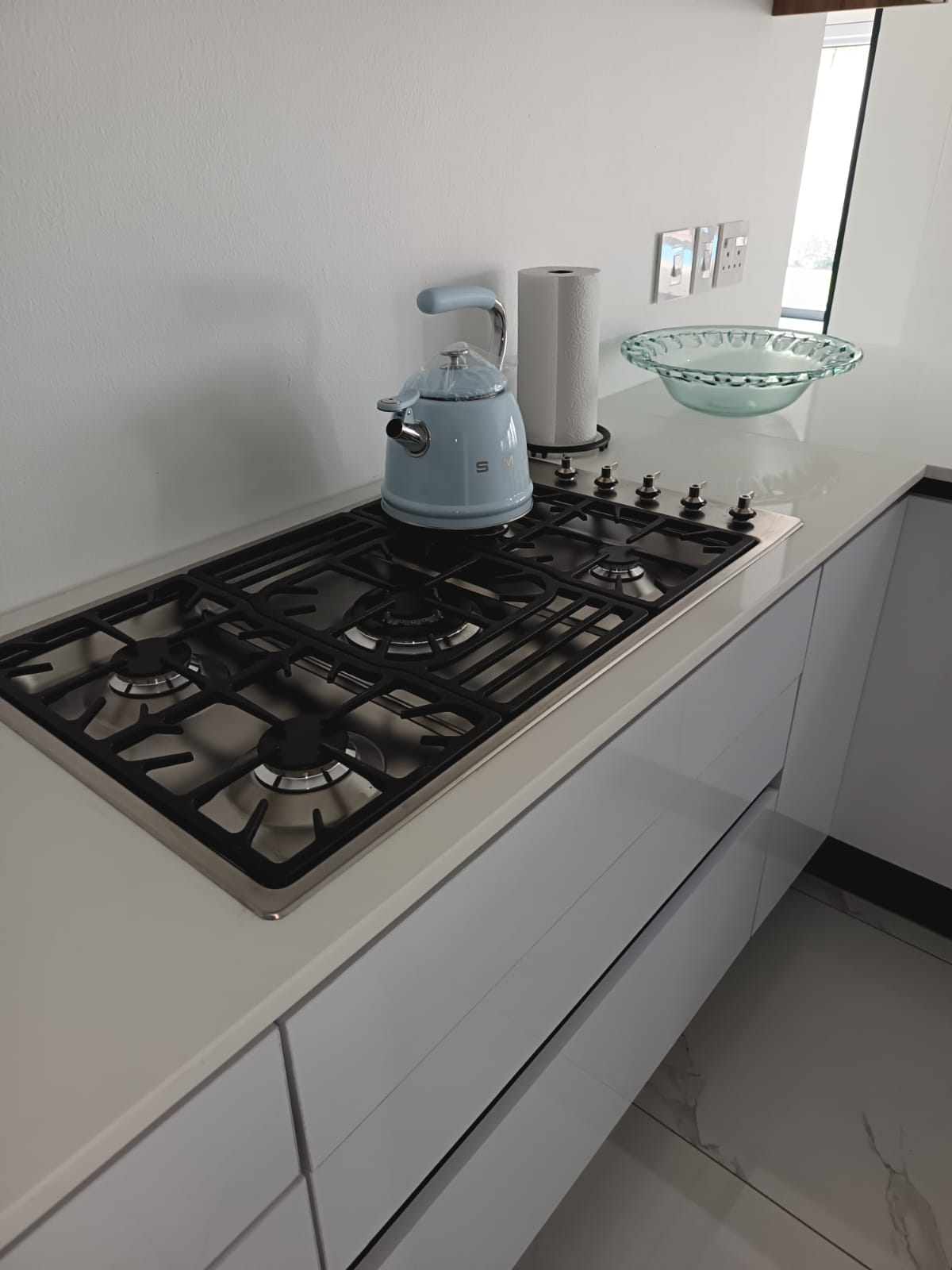 Domestic12
